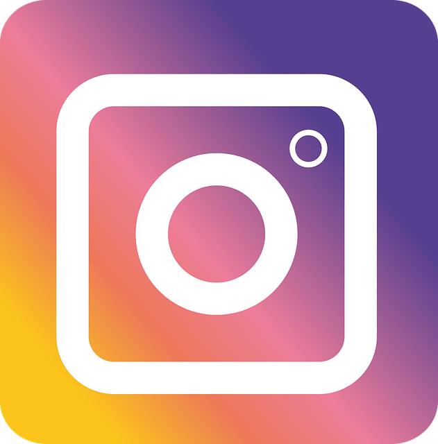 Instagram icon